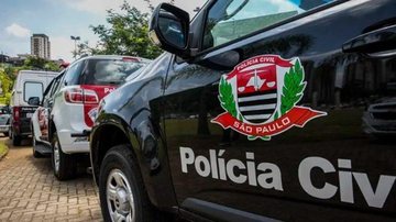 Indivíduo está à disposição da Justiça, no 2º Distrito Policial de São Sebastião - Foto: Divulgação
