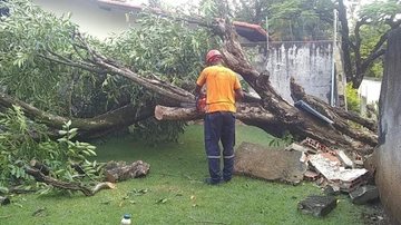 Divulgação/Defesa Civil de São Sebastião