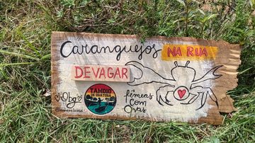 Uma das placas artísticas confeccionadas e afixada pelo grupo na última segunda-feira (21), com o objetivo de salvar caranguejos de atropelamento e estimular a consciência ambiental dos moradores e turistas Grupo de moradores embeleza Ubatuba - Imagem: Reprodução / Tamoio Ubatuba