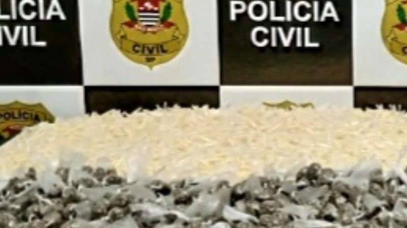 Polícia Civil prende traficantes em Poá - Reprodução/Policia Civil