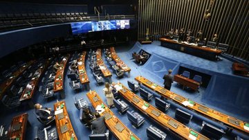 Senado aprova prioridades na restituição do Imposto de Renda - © Fabio Rodrigues Pozzebom/Agência Brasil