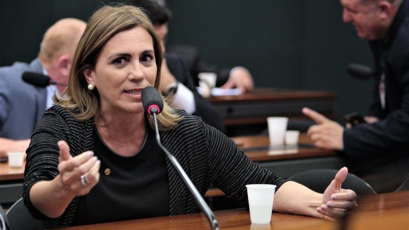 Deputada Federal Rosana Valle - Divulgação/