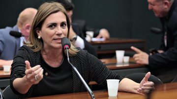 Deputada Federal Rosana Valle - Divulgação/