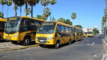 Lista de condutores autorizados pode ser consultada por meio do site da prefeitura de Praia Grande Transporte escolar bus escolares amarelos - © SEDUC/Piauí/Imagem Ilustrativa