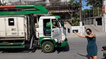 Artesã recebe pedaços de tronco via ‘delivery’ de equipe de poda em Santos - Arquivo pessoal
