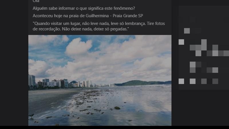Moradora ficou intrigada ao avistar organismos nas areias Post - Infestação de algas em areias de Praia Grande intriga moradora - Imagem: Reprodução / Redes Sociais