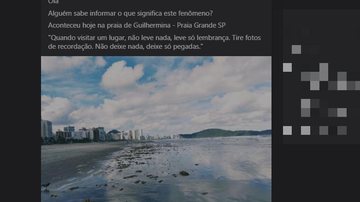 Moradora ficou intrigada ao avistar organismos nas areias Post - Infestação de algas em areias de Praia Grande intriga moradora - Imagem: Reprodução / Redes Sociais
