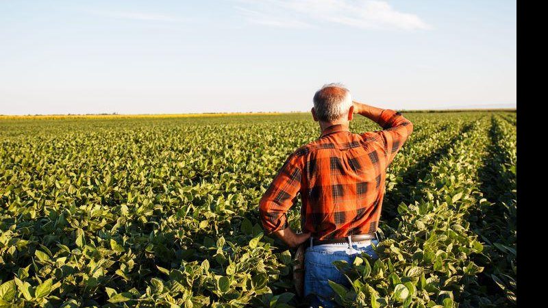 Produtor rural observa grande campo de plantação Produtor rural - Arquivo Agência Brasil