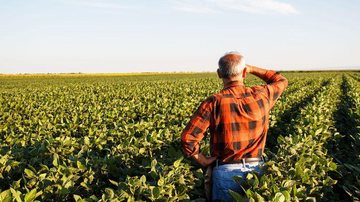 Produtor rural observa grande campo de plantação Produtor rural - Arquivo Agência Brasil