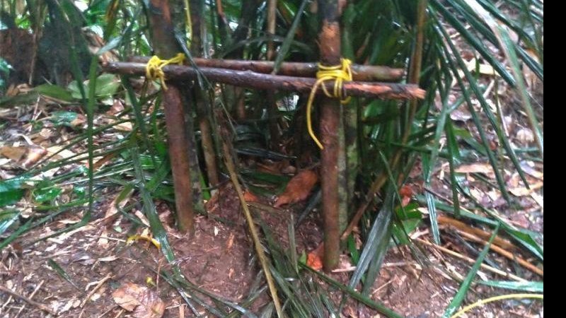 Armadilha encontrada na reserva florestal Polícia Ambiental encontra indícios de caça proibida em reserva florestal de Caraguatatuba (SP) - Imagem: Divulgação / Polícia Militar Ambiental