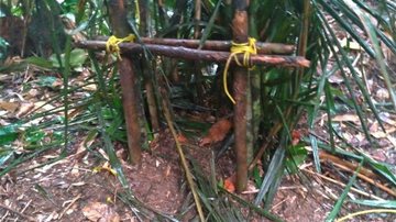 Armadilha encontrada na reserva florestal Polícia Ambiental encontra indícios de caça proibida em reserva florestal de Caraguatatuba (SP) - Imagem: Divulgação / Polícia Militar Ambiental