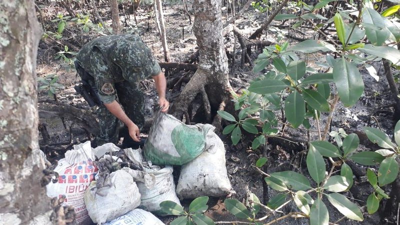 Divulgação/Polícia Ambiental