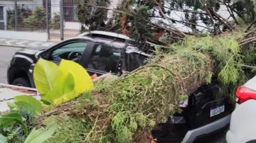 DESTRUIÇÃO NO LITORAL: Ventos de mais de 100km/h atingem Santos - Maurício C. Garcia