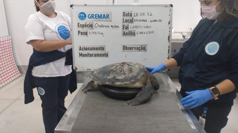 Divulgação/GCM SV