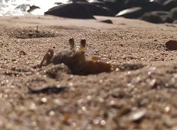 Maria farinha na praia do Frade em Ubatuba (SP) - Foto: Divulgação Reprodução Instagram @vertical_area