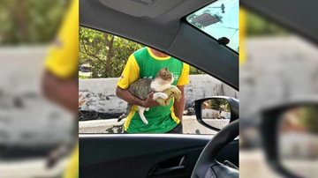 Homem teve ideia brilhante e parou o trânsito além de ganhar uns trocados ao cobrar pedágio do carinho no bichano Homem para o trânsito ao pedir dinheiro em troca de carinho em seu gato: “empreendedor” - Imagem: Reprodução / Leandro Santos @Mussumalive / Twitter