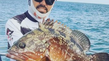 Animal não é um tucunaré, mas tem seu charme Pescador pega ‘peixão feioso’ Guarujá (SP) e tira onda: "Cheio de beleza" - Imagem: Reprodução / Redes Sociais / @r_.monteiro