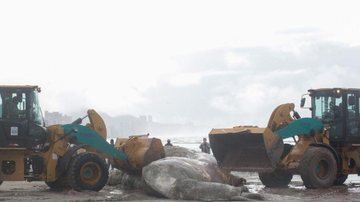 Divulgação/Prefeitura de Praia Grande