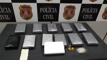 12 tabletes de cocaína que seriam enviados para a Holanda foram apreendidos na Baixada Santista - Foto: Polícia Civil