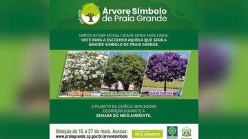 Divulgação/Prefeitura de Praia Grande