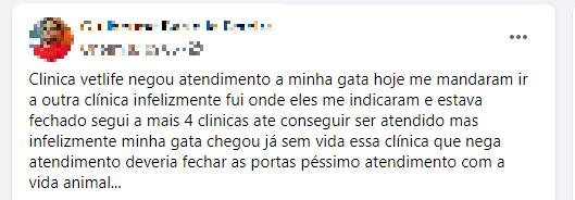 Morador de Caraguatatuba (SP) acusa clínica veterinária de negar atendimento animal após gata morrer - Foto: Divulgação Reprodução Facebook