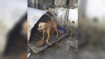 Arquivo pessoal