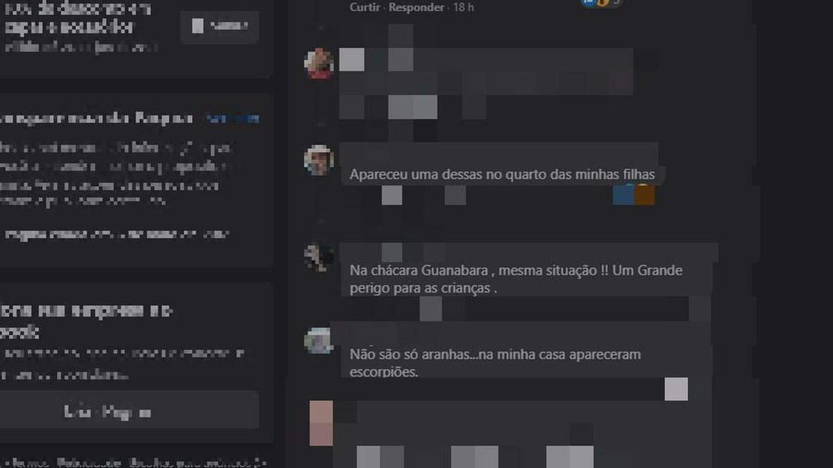 grupo de discord blox fruits português｜Búsqueda de TikTok