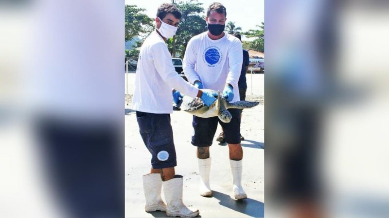 Ação é considerada mais um resultado positivo do Projeto de Monitoramento de Praias da Bacia de Santos - Reprodução/ Instituto Gremar