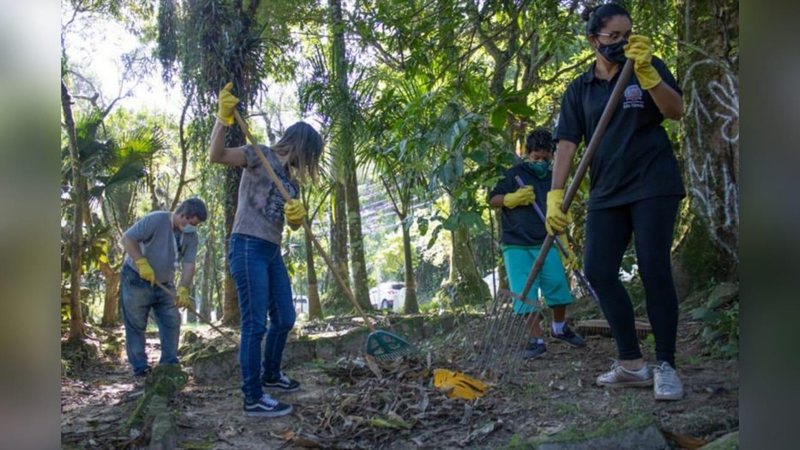 Foram realizados serviços de limpeza, poda, roçada, retirada de resíduos e a instalação de grades - Reprodução/ Prefeitura de São Vicente