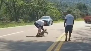 Bicho-preguiça é retirado da rodovia, em Ubatuba (SP) - Foto: Reprodução - @sandrinhalamb
