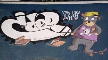 Arte na pista de skate em Caraguatatuba, SP - Foto: Beto (@betodacultura)