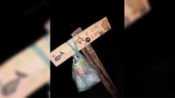 Placa de conscientização é feita de lixeira em Ubatuba (SP) - Foto: Flaviana Falví | Tamoio de Ubatuba