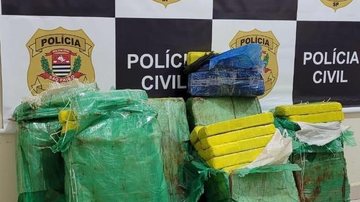 Polícia Civil de Avaré prende dupla que transportava 170 tijolos de maconha - Reprodução/Policia Civil