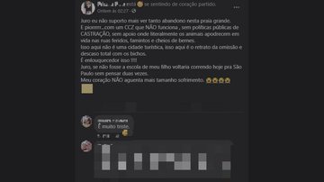 Moradora afirmou que animais estão abandonados na cidade e lamentou “Feridos, famintos e cheios de bernes”: Moradora de Praia Grande (SP) sofre ao ver animais abandonados - Imagem: Reprodução / Redes Sociais
