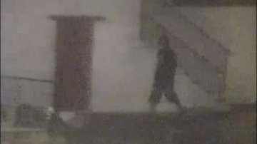 Imagens de câmeras de segurança Homem com martelo é preso em flagrante tentando furtar escola de Surfe em Santos (SP) - Divulgação/Prefeitura de Santos