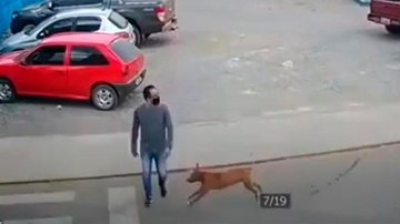 Câmera de segurança flagra cão desgovernado atropelando pedestre | VÍDEO - Reprodução: YouTube