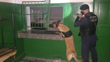 Divulgação/Imprensa São Vicente