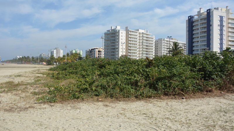 Um dos reclamantes citou que no local não é difícil encontrar garrafas de bebidas, bitucas de cigarro e flaconetes - Reprodução