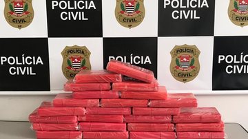 Reprodução/Policia Civil