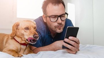 sistema para pet shop - ploutos.com.br