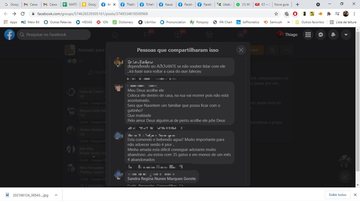 Moradores se preocuparam com gato órfão, em grupos de adoção de animais da Baixada Santista onde o caso circula desde domingo Comentário - Gato órfão - Imagem: Reprodução / Facebook / ONG VIVA BICHO SANTOS - Protetores