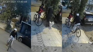 Mulher passeava calmamente com seu cachorros quando foi furtada. Assista ao vídeo abaixo Vídeo | Gangue da bicicleta não perdoa nem aliança de moradora de Santos e marido se indigna: “Vagabundos” - Imagem: Reprodução / Redes Socias
