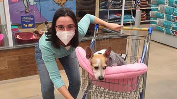 Madalena é adotada e vira paulistana! - Reprodução/ONG Viva Bicho Santos