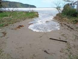 Reprodução/Internet