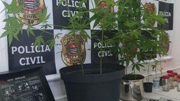 Divulgação/Assessoria de Imprensa Polícia Civil