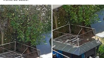 Morador pede que moradores sejam "tirados" do bairro pela Defesa Civil de Santos; pedido foi criticado por outros moradores da cidade Homem pede “faxina” de pessoas em situação de rua de bairro nobre de  Santos e recebe lição de inesquecível - Imagem: Reprodução / Facebook / Viver em Santos