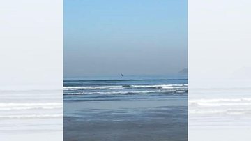 Baleia dançou no mar do Gonzaga, em Santos, na sexta-feira (23) Banhista é agraciada com 'balé' de baleia na praia de Santos - Reprodução/Juliana Fonseca