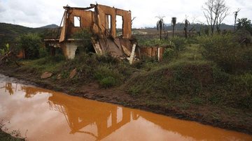 Imagem Fundação aponta avanço na recuperação de áreas afetadas por barragem