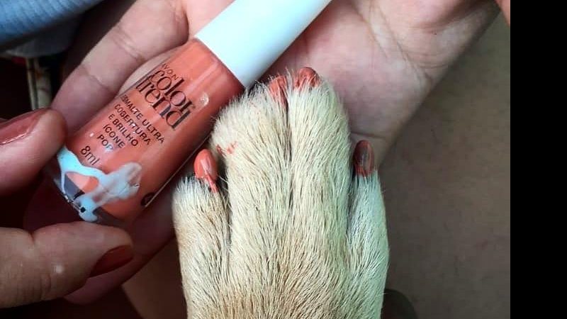 Caramelo com unha pintada - Glaucia Rosa
