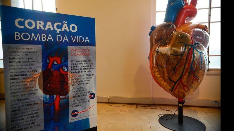 © Tomaz Silva/Agência Brasil